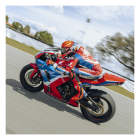Casco Shoei X-Spr Pro A.MARQUEZ 73 V2 TC2