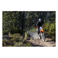 Casco Shoei Hornet ADV Sovereign TC3