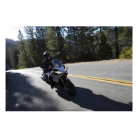 Casco Shoei Hornet ADV Sovereign TC3