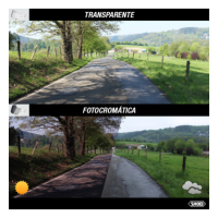 Recambio Shoei Pantalla CWR-F2 Fotocromática