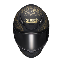 Casco Shoei NXR 2 Fearless TC5