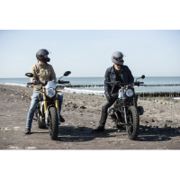 Casco Shoei Glamster 06 Blast TC10