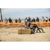 Casco Shoei Glamster 06 Blast TC10