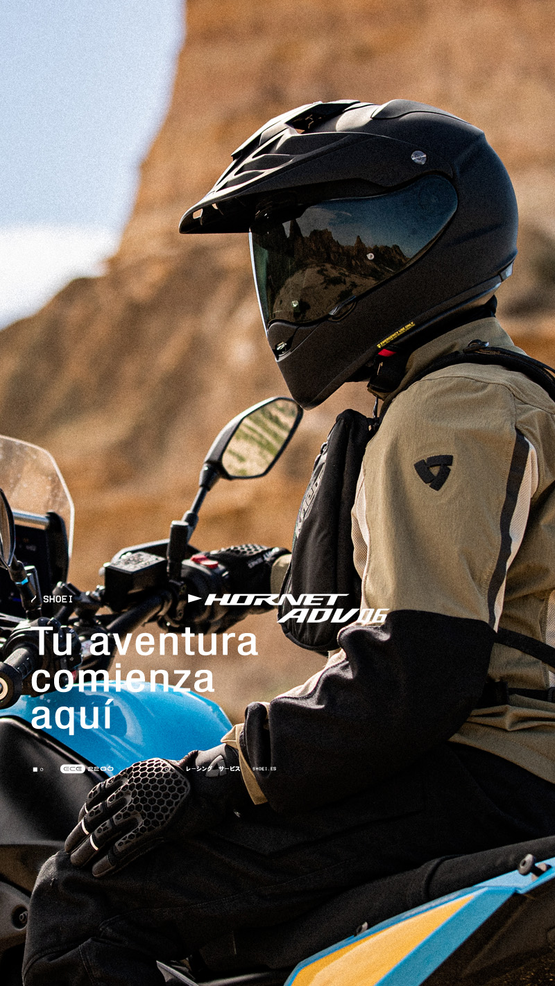 HORNET ADV 06